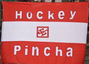 bandera pincha